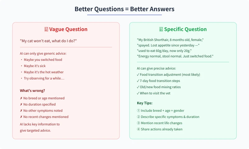 Vague vs Specific Questions Comparison