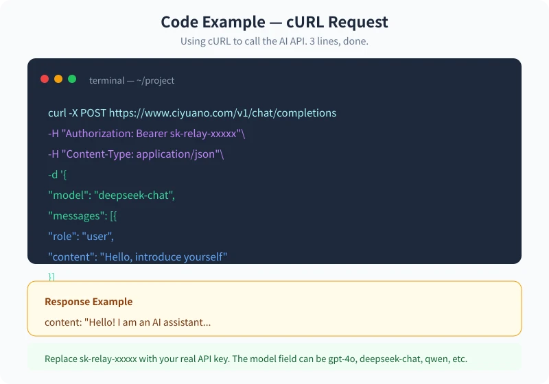 cURL API Call Example
